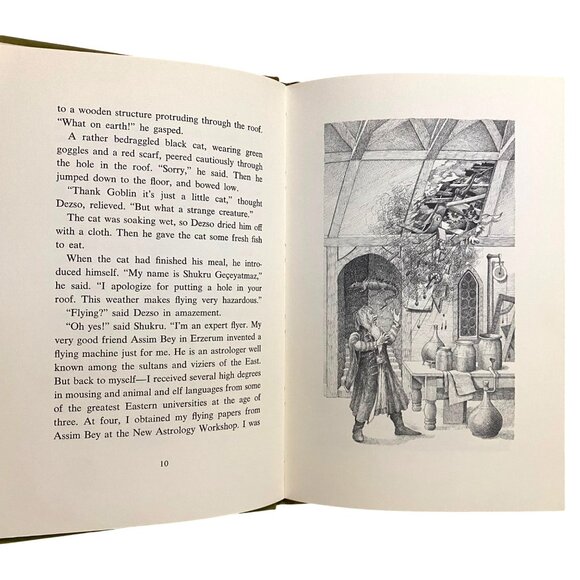 The Cat and the Flying Machine Hardcover Laszlo Kubinyi Middle Grade Fiction - Picture 5 of 7